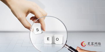 深圳龍華網絡推廣與信息技術咨詢服務全解析