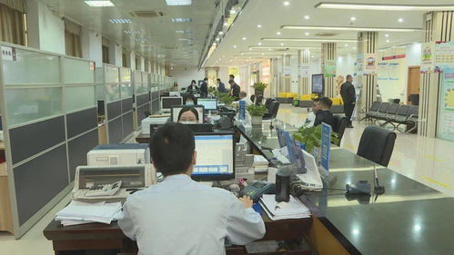 區便民服務中心榮獲“廣東省青年文明號”稱號，信息系統集成服務再上新臺階
